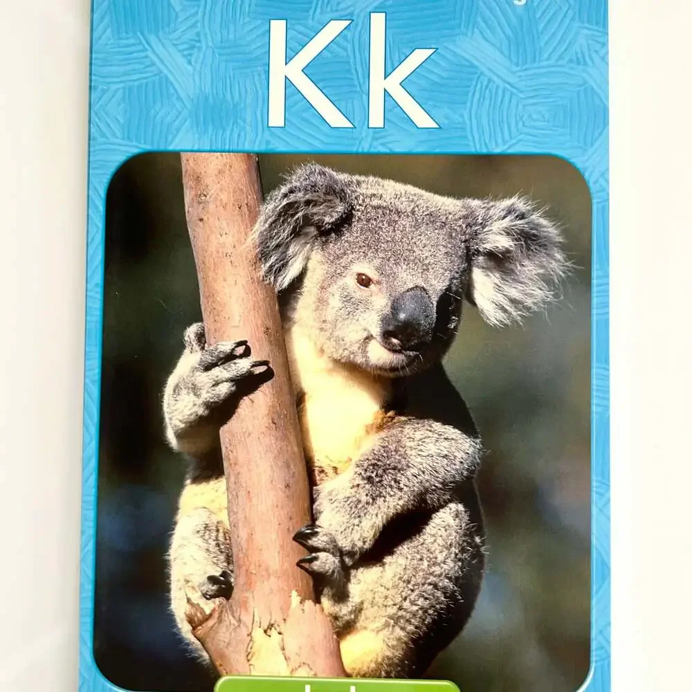 Reading Street PreK Alphabet Cards Eng./Span Homeschool Classroom Learning‎